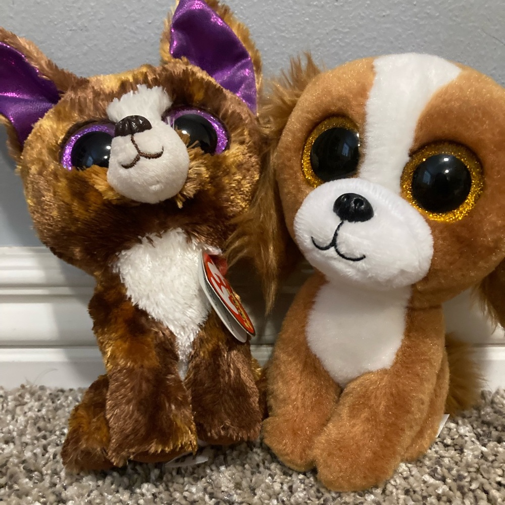 Beanie Boo Set